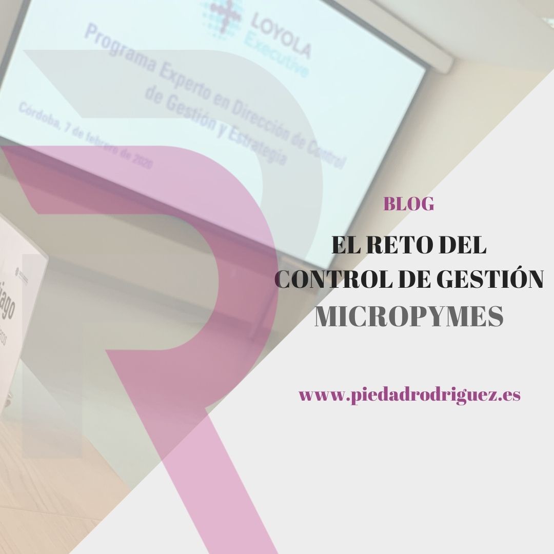 CONTROLLER CONTROL DE GESTIÓN LOYOLA EXPERTO ESTRATEGIA CCA GCCI FORMACION MICROPYME TRANSFORMACION DIGITAL
